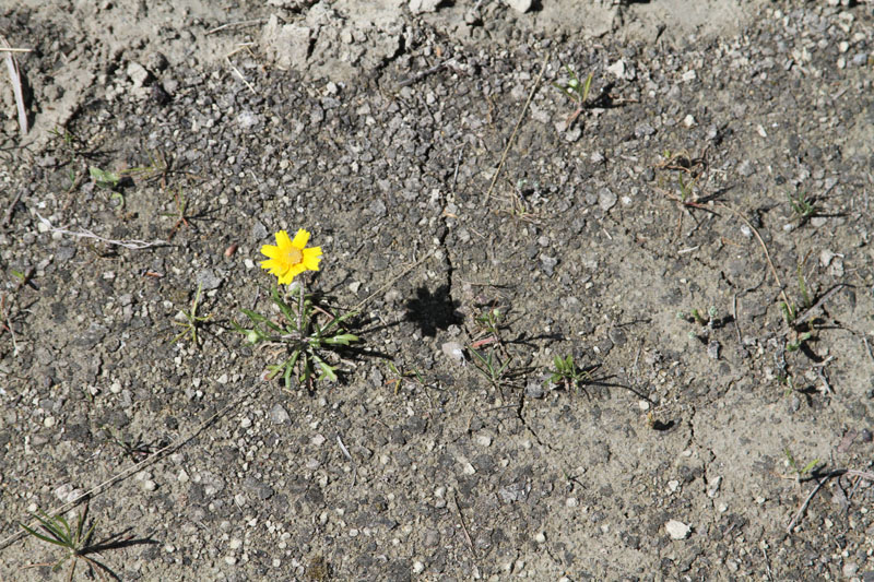 IMG_5897