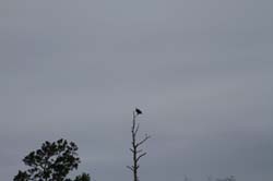 IMG_4170