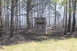 IMG_4766