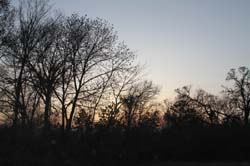 IMG_5168