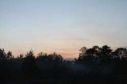 IMG_5181
