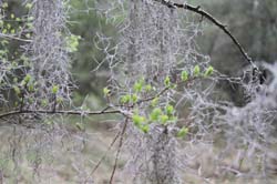 IMG_5228