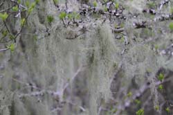 IMG_5255