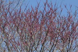 IMG_5320