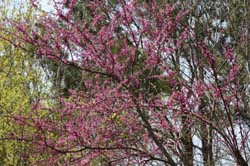 IMG_5792