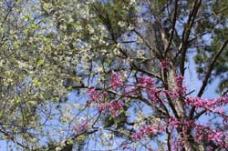 IMG_5798