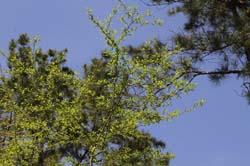 IMG_5803