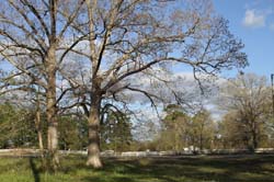 IMG_5926