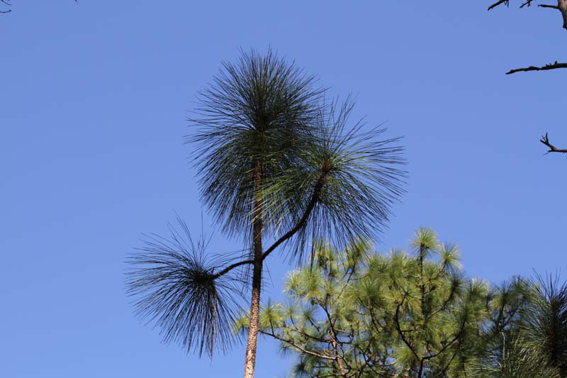 IMG_0134