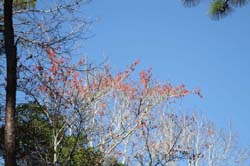 IMG_0139