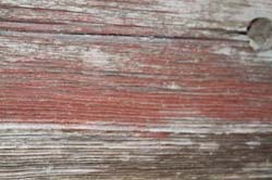 IMG_0189