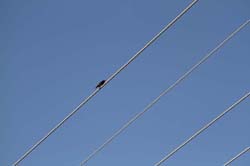 IMG_0311