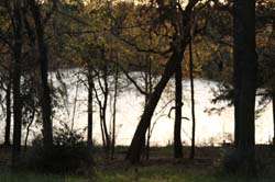 IMG_0395
