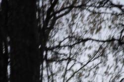 IMG_0465