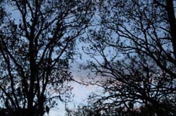 IMG_0476