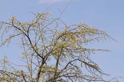 IMG_0495