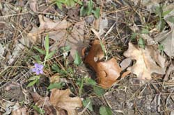IMG_0547
