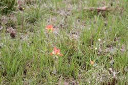 IMG_0605