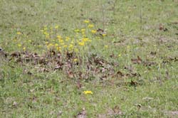 IMG_0623