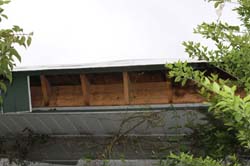 IMG_0633