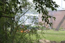 IMG_0654