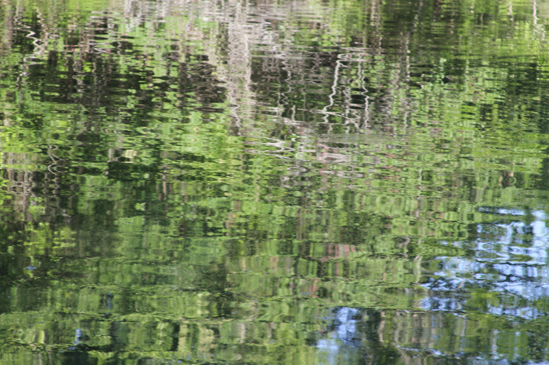 IMG_7689