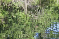 IMG_7689