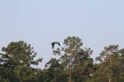 IMG_8052