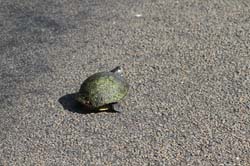 IMG_8060