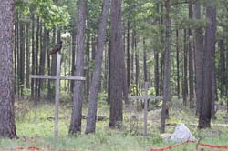 IMG_0311