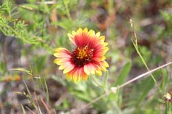 IMG_0348