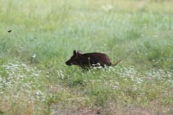 IMG_0359