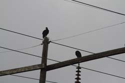 IMG_0404