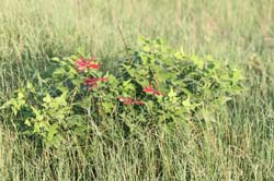 IMG_0461