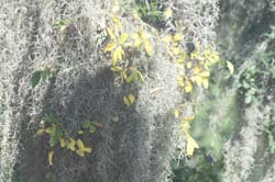 IMG_0570