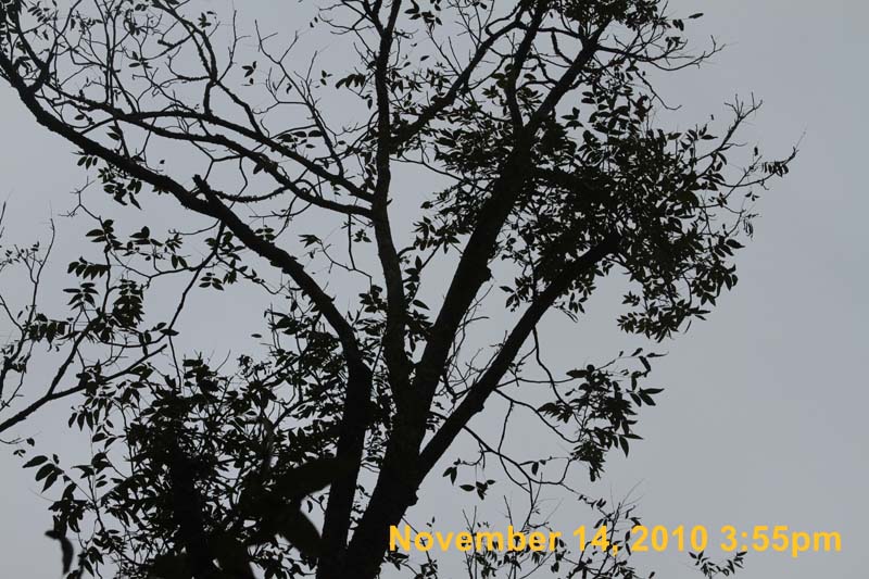 IMG_1938