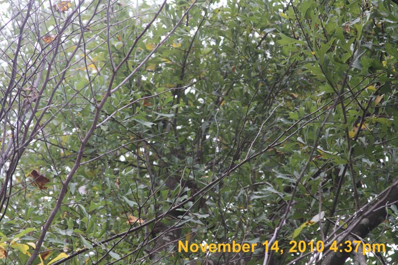 IMG_1967