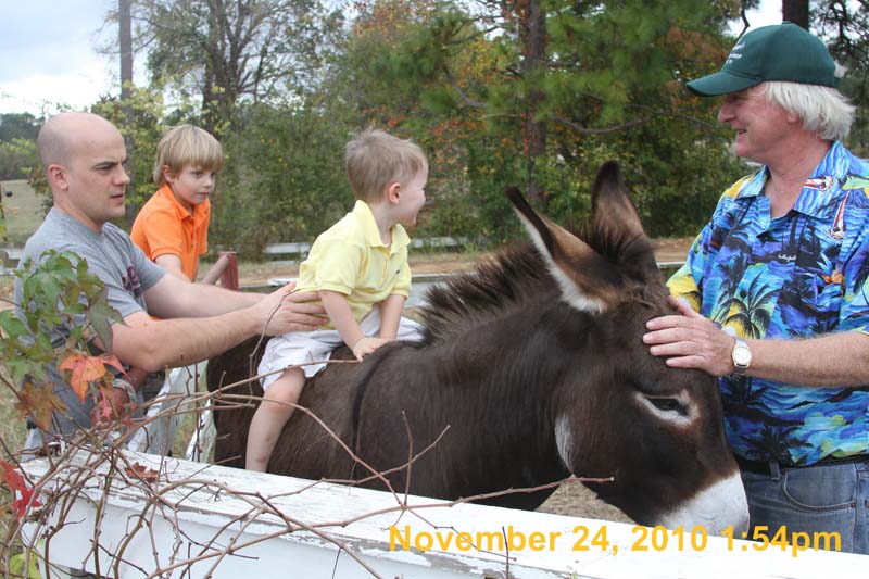IMG_2482