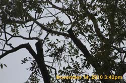 IMG_1921