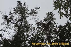 IMG_1932