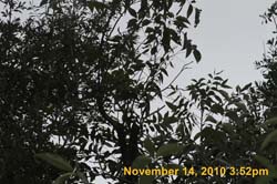 IMG_1935