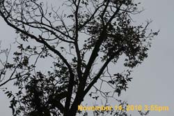 IMG_1938