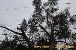 IMG_1940