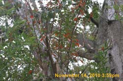 IMG_1943
