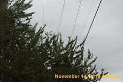 IMG_1945
