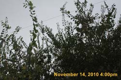 IMG_1947
