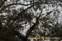 IMG_1952