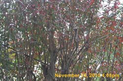 IMG_1959