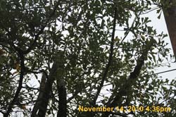 IMG_1963