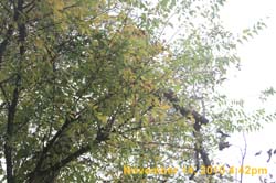 IMG_1975